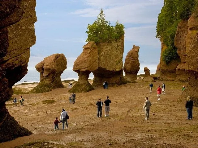 Persone che camminano sul fondale oceanico tra le rocce a vaso al Parco provinciale Hopewell Rocks.