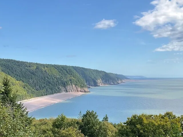 Vista panoramica di una lunga spiaggia sabbiosa che si estende lungo scogliere costiere boscose.