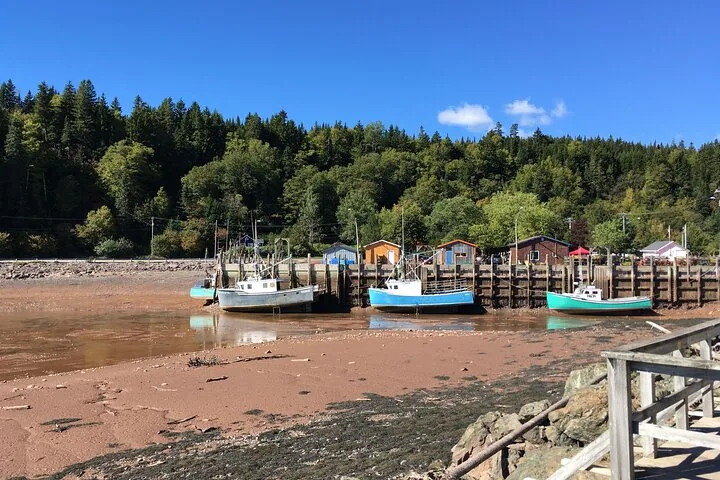 Bateaux de pêche reposant sur les vasières à marée basse dans un petit port côtier.