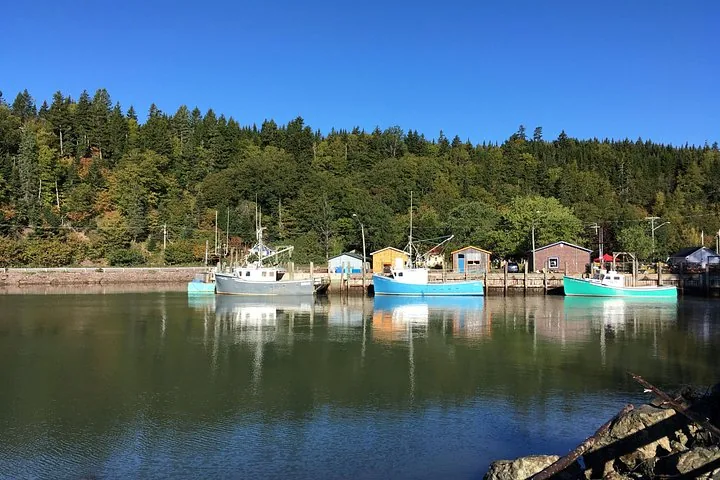 Bateaux de pêche flottant dans un petit port côtier à marée haute, eau calme.