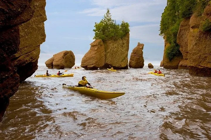 Kayakisti che pagaiano tra le spettacolari formazioni rocciose a forma di vaso del Parco provinciale Hopewell Rocks.