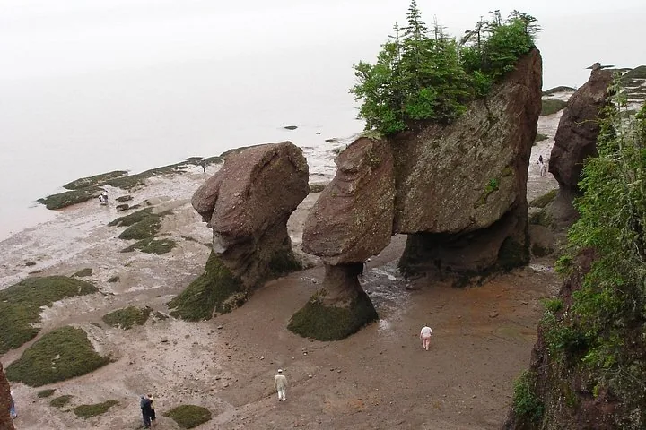 High angle view of visitors on the ocean floor at Hopewell Rocks Provincial Park.