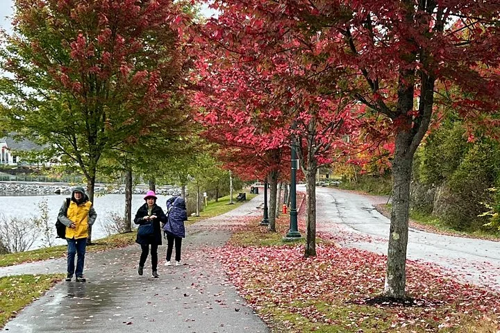 People walking on a paved path lined with vibrant red maple trees in autumn.