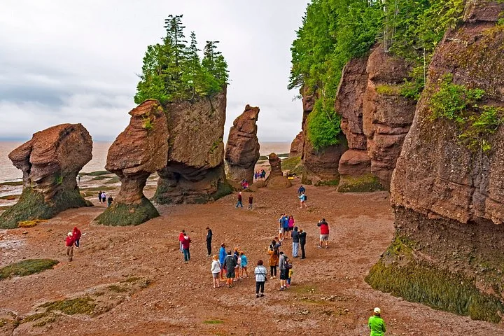 Turisti che esplorano il fondale marino e le rocce a forma di vaso a Hopewell Rocks durante la bassa marea.